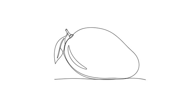 Mango fruit isolated on, continuous line drawing, healthy food