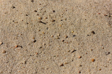 Sand on the beach in the summer, closeup of photo