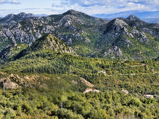Picturesque forested mountain range. Montenegro