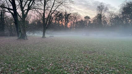 misty park in late autumn