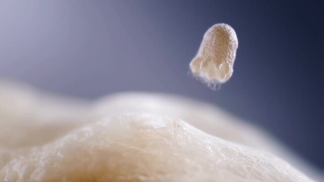 Close-up of cellular or biological detachment process under soft lighting, scientific and abstract visualization video footage