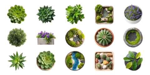Succulent And Miniature Garden Collection Set. Indoor Plant Decor And Zen Garden Ideas Collection Isolated On Transparent Background