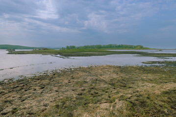 Close-up of wet spring mud at the edge of a lake, with subtle reflections and natural textures. Captures the seasonal transition and earthy details of the lakeside environment.