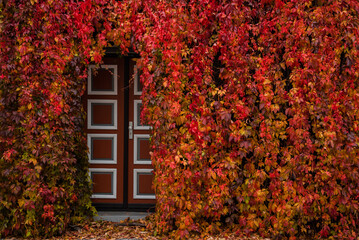 A Door to Autumn