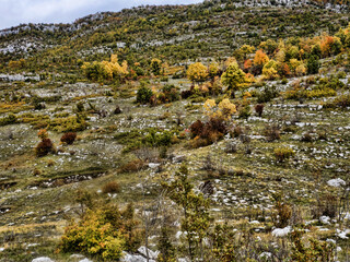 Beautiful autumn colors on the mountain range. Montenegro