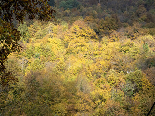Beautiful colorful autumn scenery along the Piva River. Montenegro