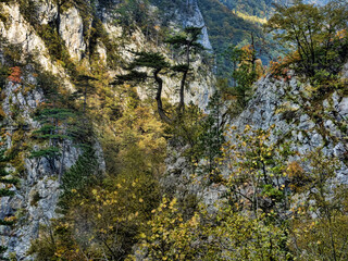 Beautiful colorful autumn scenery along the Piva River. Montenegro