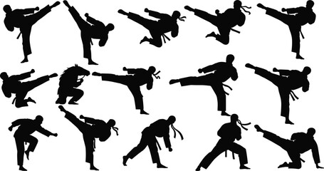 martial, arts, silhouette, posture, motion, kick, belt, stance, headband, icon, jump, strike, style, pose
