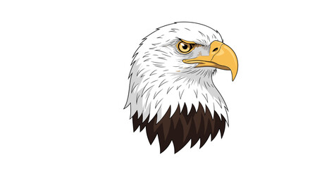 Fototapeta premium Detailed realistic illustration of a majestic bald eagle's head looking intensely forward.