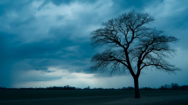 Lone tree silhouettes against a sunset sky over a winter landscape of fog and grass