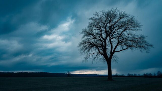 Lone tree silhouettes against a sunset sky over a winter landscape of fog and grass