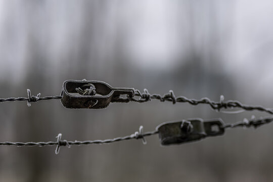 barbed wire in frost in winter