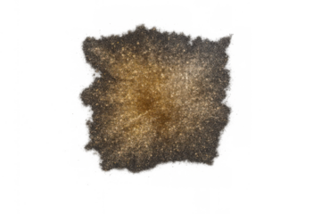 Gold dust abstract bursting particles, shiny glitter explosion effect on transparent background
