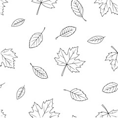 Seamless Pattern of Hand-Drawn Autumn Leaves in Black and White