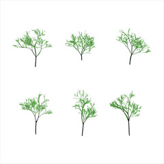 Six minimalist trees against a white background for graphic design projects