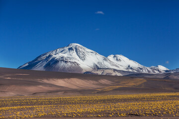 Naklejka premium Northern Chile