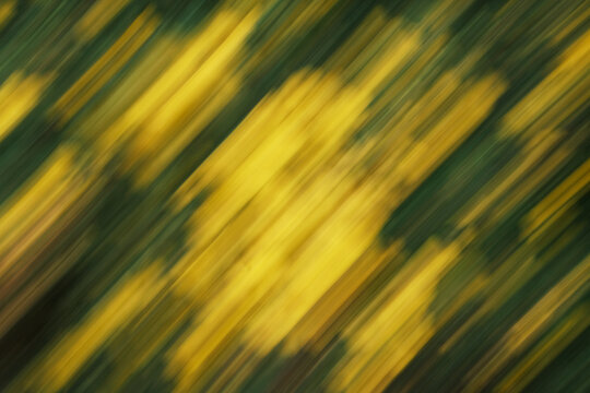 A blurry image of yellow and green leaves with a yellow background