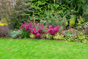 Beautiful country garden growing multi plants and flowers on a summers day bordering the lawn and showing nature at its best green fingers certainly been used.