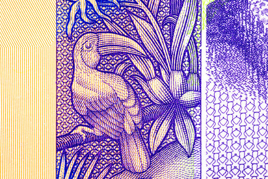2 Dollars, Belize with a parrot. National currency of Belize. Money of the colonies of Great Britain.