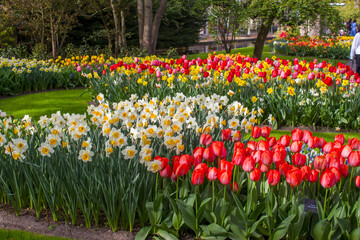 spring flowers in Keuhenhof in the Netherlands