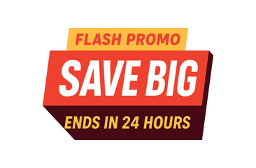 Flat vector banner design top text PROMO main text SAVE BIG bottom text ENDS 24 HOURS bold red with dark shadow