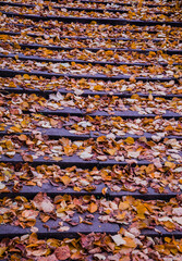 Stairs to Autumn