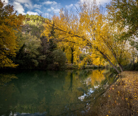 autumn colors in deciduous forests