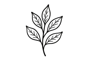 Fototapeta premium handdrawn cute doodle style tea leaves branch vector line illustration