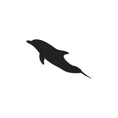Fototapeta premium dolphin silhouette vector icon illustration