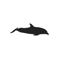 dolphin silhouette vector icon illustration