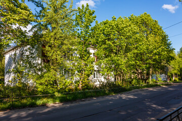 Sunny spring day reveals a quaint house peeking through dense, vivid green trees. A peaceful urban landscape with lush natural growth