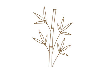 Fototapeta premium Bamboo stalks and leaves outline illustration, asian nature, zen garden, minimalist plant drawing, transparent background