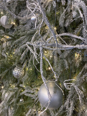 Beautiful Christmas background with frosted spruce and bubbles.