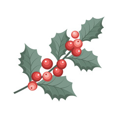 Christmas holly berry branch with red berries. Winter festive illustration.