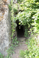 Overgrown cave entrance in sandstone cliff surrounded by lush green foliage