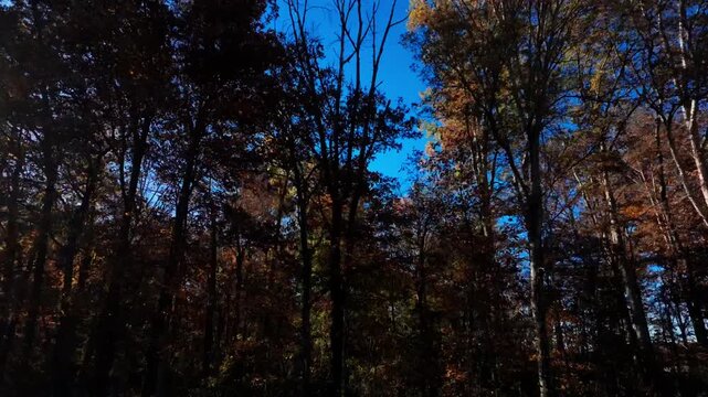POV of driving close to the sideroad of highway surrounded by vibrant autumn trees under a clear blue sky. Cars travel along the road as fall foliage lines both sides,