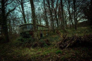 Obraz premium Moss-covered abandoned bus hidden in an overgrown, eerie forest
