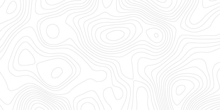white background displays topographic contour lines, creating abstract pattern suitable for various design applications	