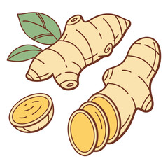 Hand drawn ginger root and sliced ginger isolated on