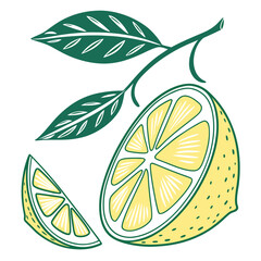 Lemon fruit with leaves and slice isolated on drawing