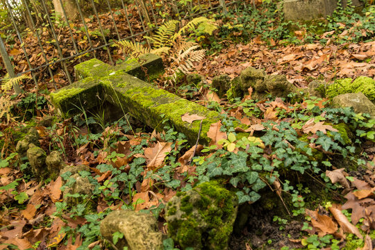 Moss-covered Fallen Stone Cross in Overgrown Cemetery with Autumn Leaves and Ivy