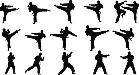 martial, arts, silhouette, kick, punch, stance, uniform, belt, training, combat, technique, movement, discipline, pose, action
