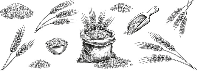 Naklejka premium Detailed hand drawn illustration of rice sack with grains, wheat ears, bowl of flour, vintage farming and agriculture concept