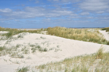 Dünenlandschaft bei Sankt Peter-Ording 