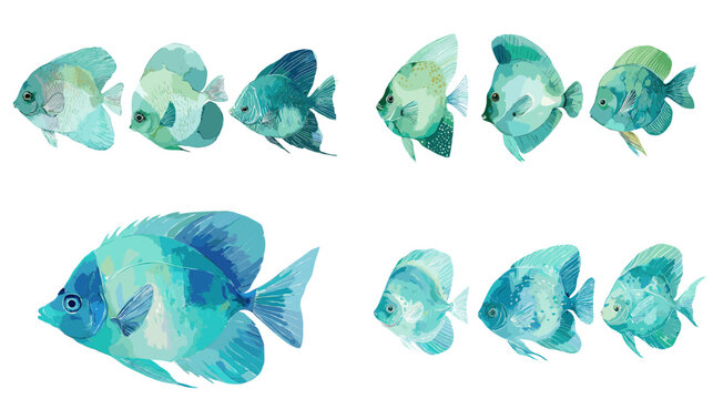 Turquoise watercolor reef fish bundle in varied sizes, including one large feature fish. Soft gradients and side profiles, isolated on white for patterns, posters, cards, and branding.