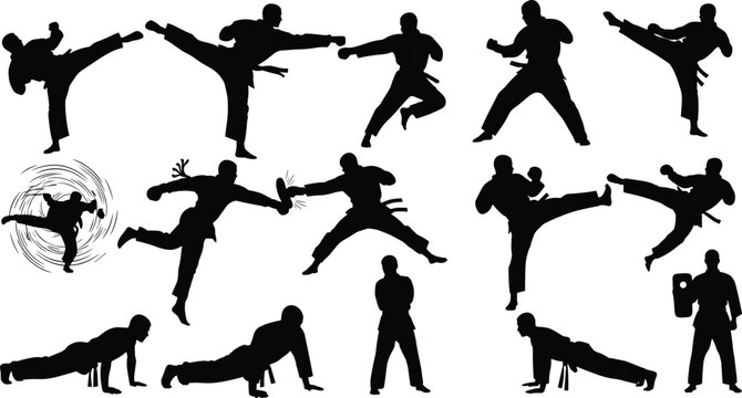 martial, arts, silhouette, combat, training, kick, punch, pose, strength, agility, discipline, movement, action, sport, technique