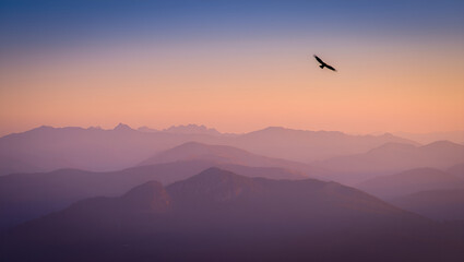 Soaring Above A Silhouette of a Bird Against the Serene Backdrop of Mountain Ridges at Sunset, Generative AI