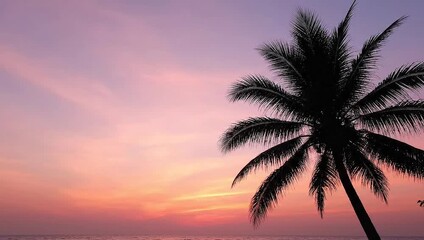 A wide landscape of a pastel sunset sky with a lone coconut palm tree silhouette, for travel agency promotions and environmental campaigns, targeting marketers and business. - Powered by Adobe