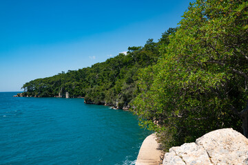 Scenic coastal landscape with blue sea and green forest on a sunny summer day
