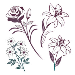 Floral arrangement with rose, lily and daisy isolated on